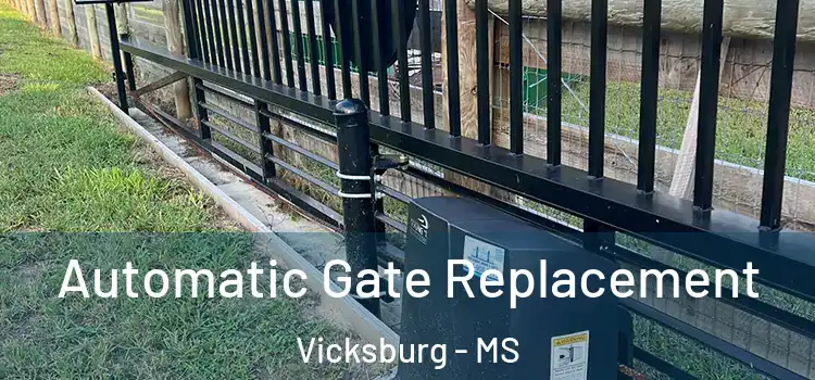 Automatic Gate Replacement Vicksburg - MS