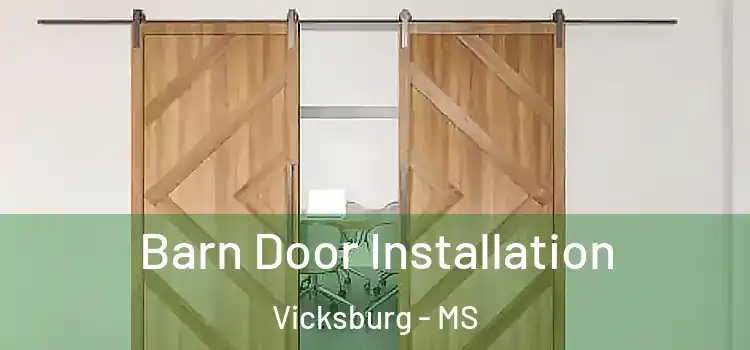 Barn Door Installation Vicksburg - MS