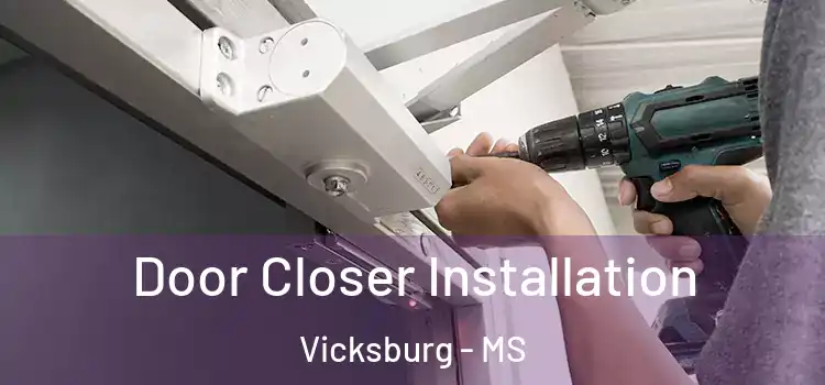 Door Closer Installation Vicksburg - MS
