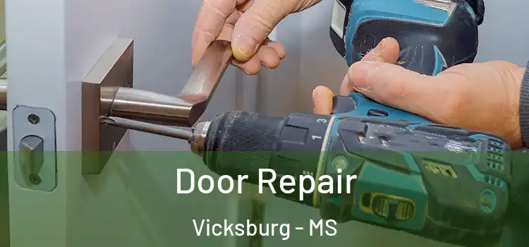  Door Repair Vicksburg - MS