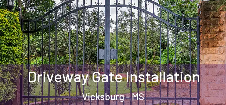 Driveway Gate Installation Vicksburg - MS
