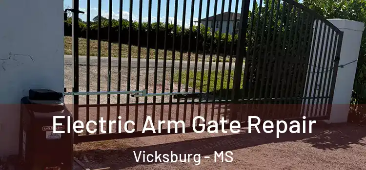 Electric Arm Gate Repair Vicksburg - MS
