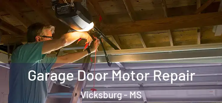  Garage Door Motor Repair Vicksburg - MS