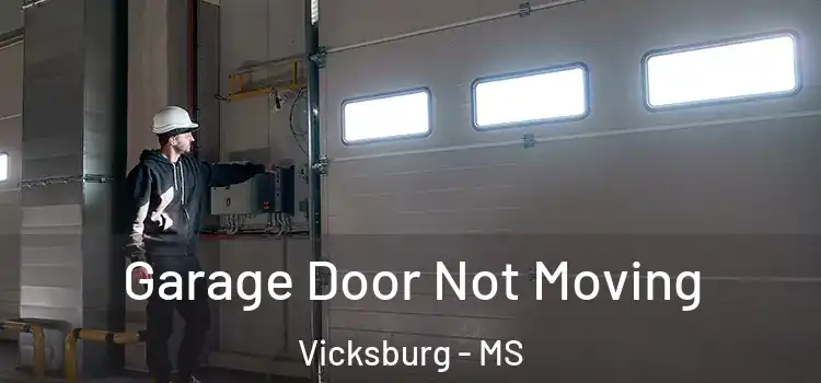  Garage Door Not Moving Vicksburg - MS