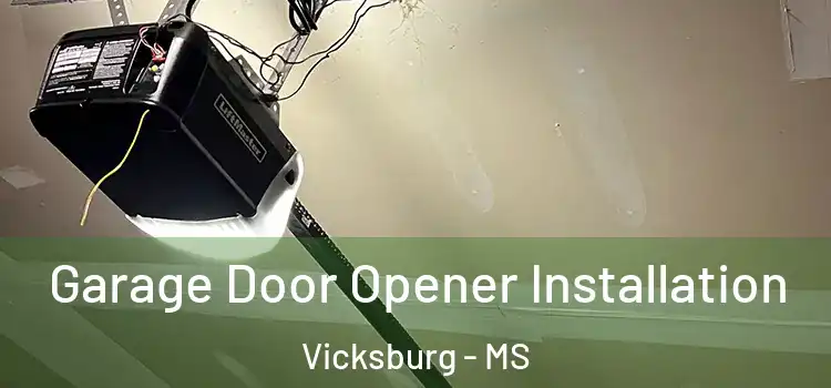  Garage Door Opener Installation Vicksburg - MS