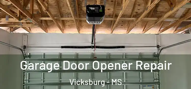  Garage Door Opener Repair Vicksburg - MS