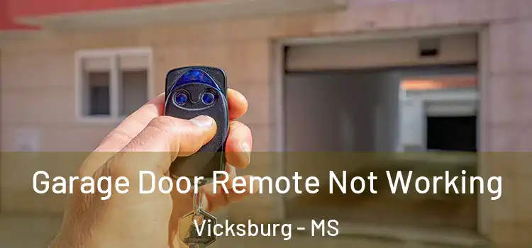  Garage Door Remote Not Working Vicksburg - MS