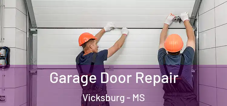  Garage Door Repair Vicksburg - MS