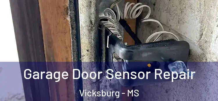  Garage Door Sensor Repair Vicksburg - MS
