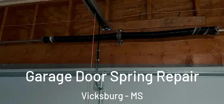  Garage Door Spring Repair Vicksburg - MS