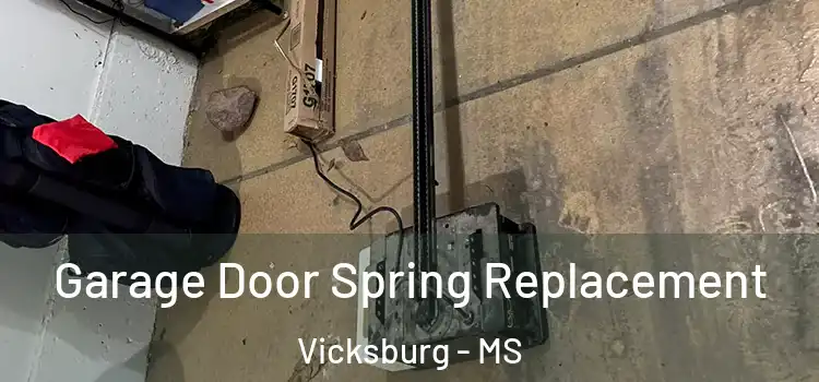  Garage Door Spring Replacement Vicksburg - MS