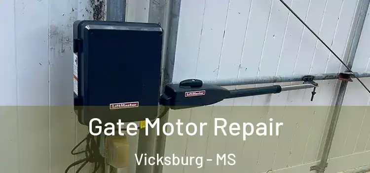  Gate Motor Repair Vicksburg - MS