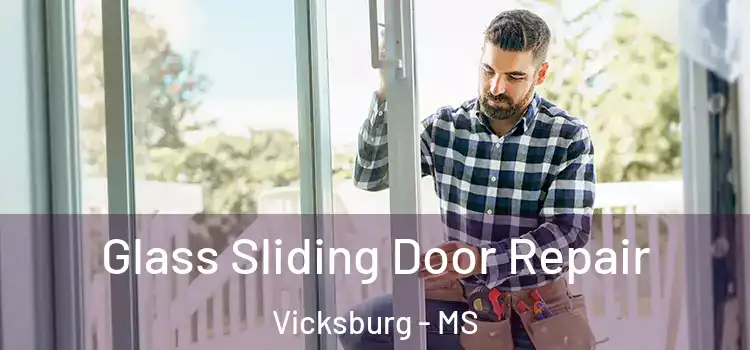  Glass Sliding Door Repair Vicksburg - MS