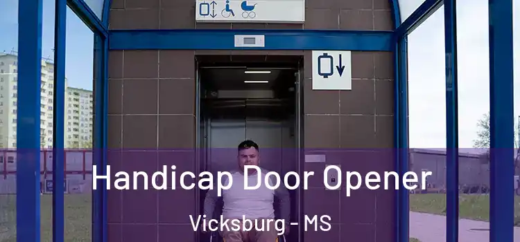  Handicap Door Opener Vicksburg - MS