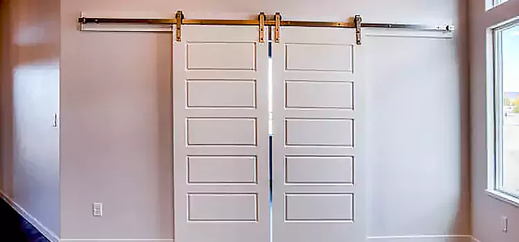 Glass Barn Door with Installation Hardware Kit Vicksburg