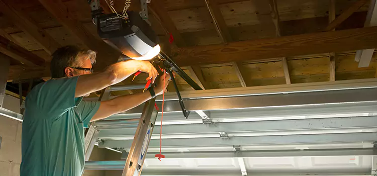Garage Door Opener Sales and Installation Vicksburg