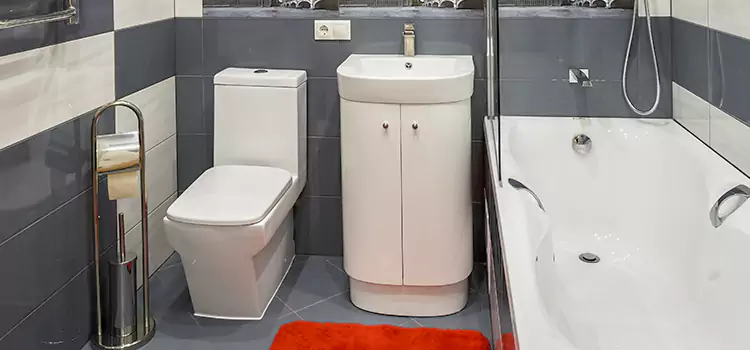 Hansgrohe Shaving Mirror Vicksburg