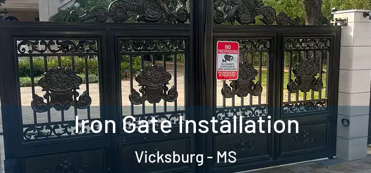 Iron Gate Installation Vicksburg - MS