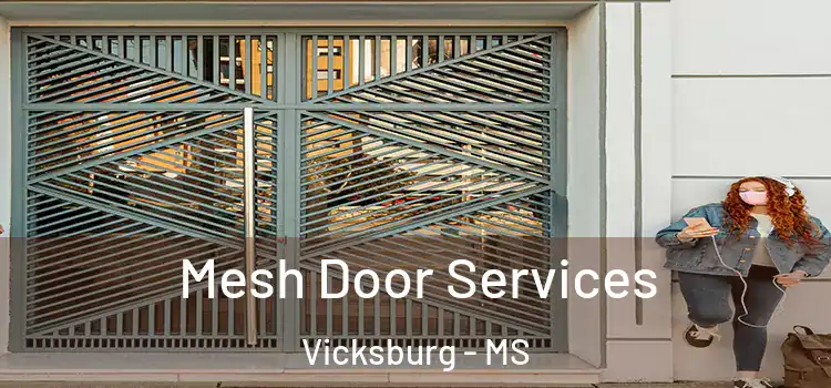 Mesh Door Services Vicksburg - MS