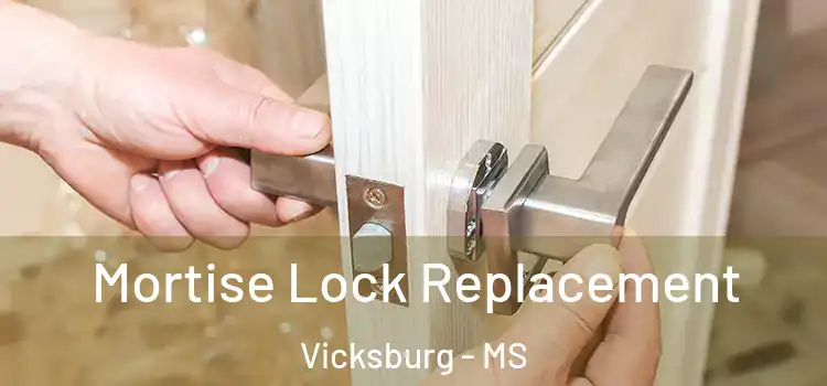 Mortise Lock Replacement Vicksburg - MS
