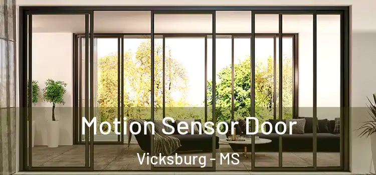  Motion Sensor Door Vicksburg - MS