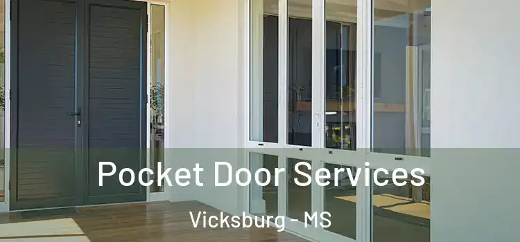 Pocket Door Services Vicksburg - MS