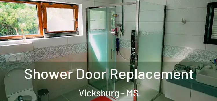 Shower Door Replacement Vicksburg - MS
