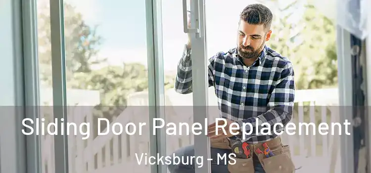  Sliding Door Panel Replacement Vicksburg - MS