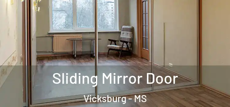  Sliding Mirror Door Vicksburg - MS
