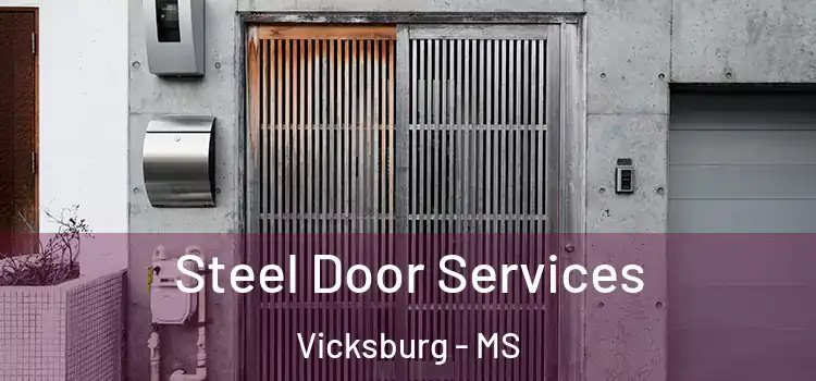  Steel Door Services Vicksburg - MS